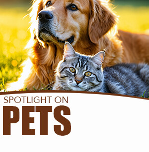 Spotlight on Pets