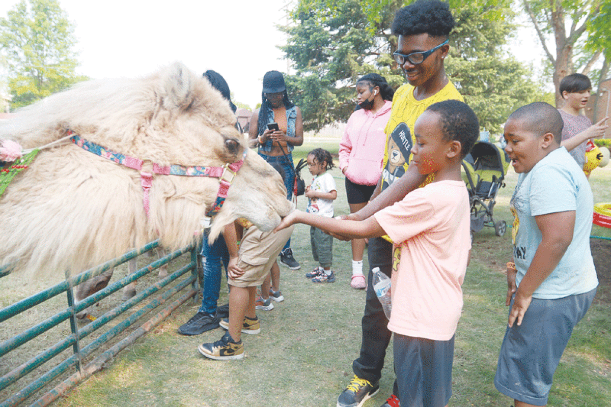  Kids enjoy feeding and petting the animals at the petting zoo during the Center Line Independence Festival June 2-4.  