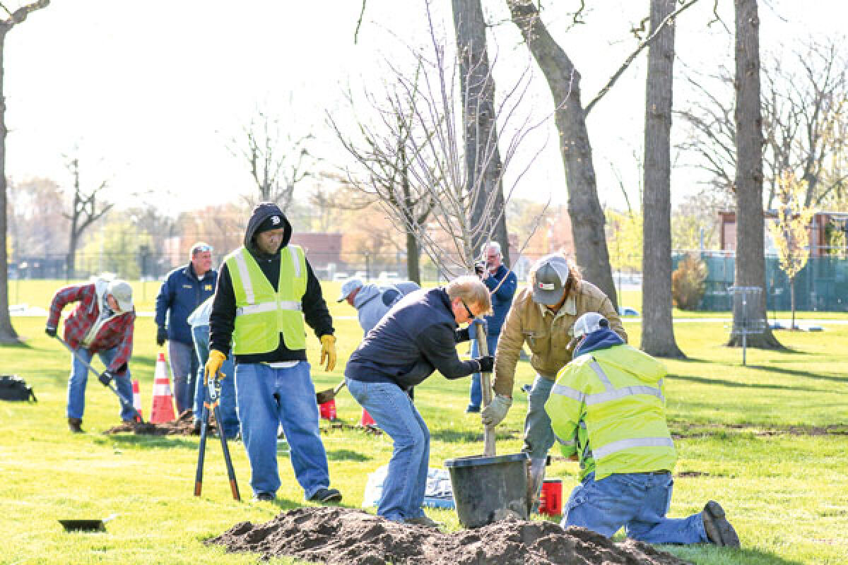  Volunteers plant trees in the Brys Park Arboretum on Arbor Day April 26. 