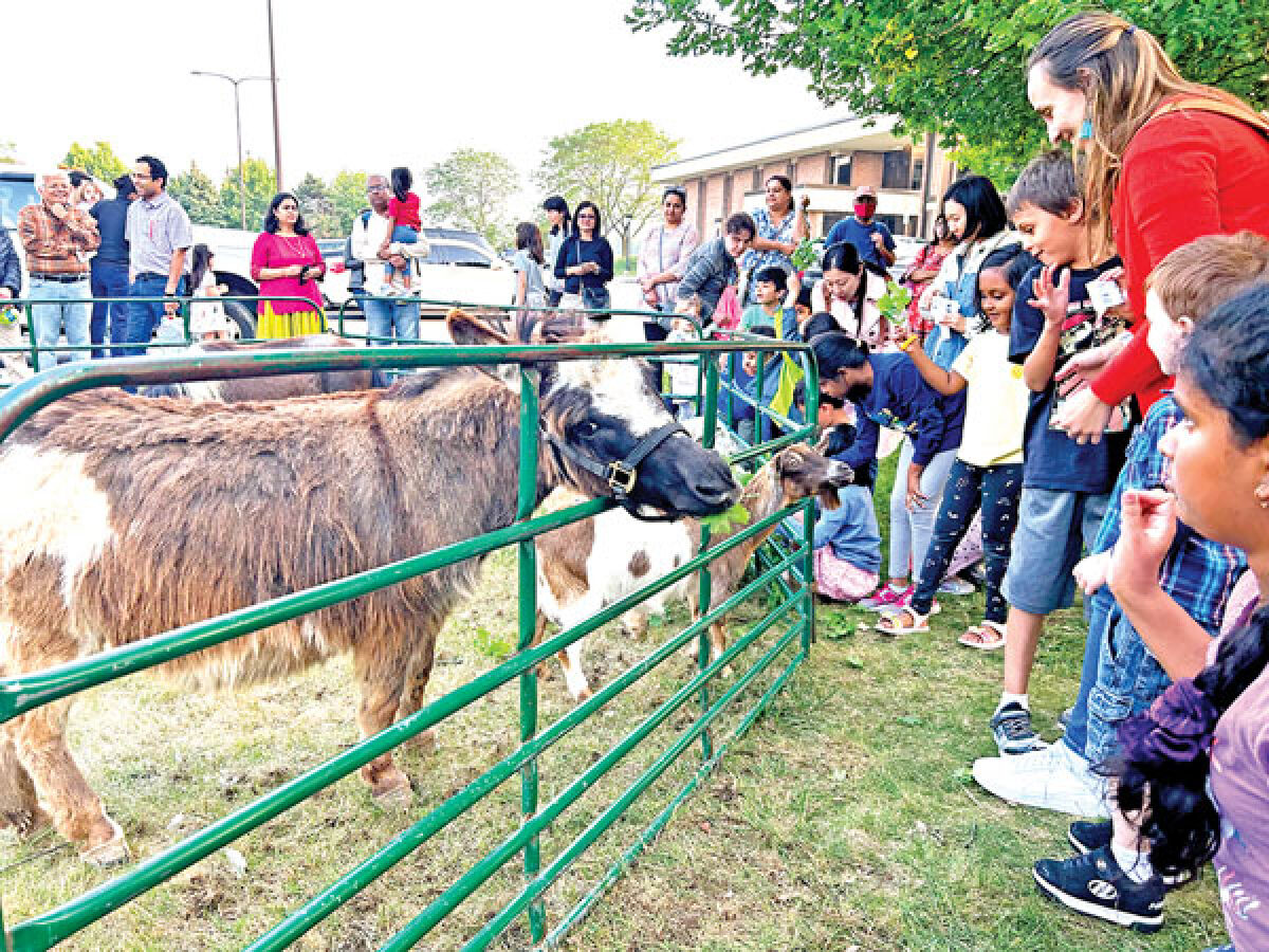  Troy library to host petting zoo, food truck event 