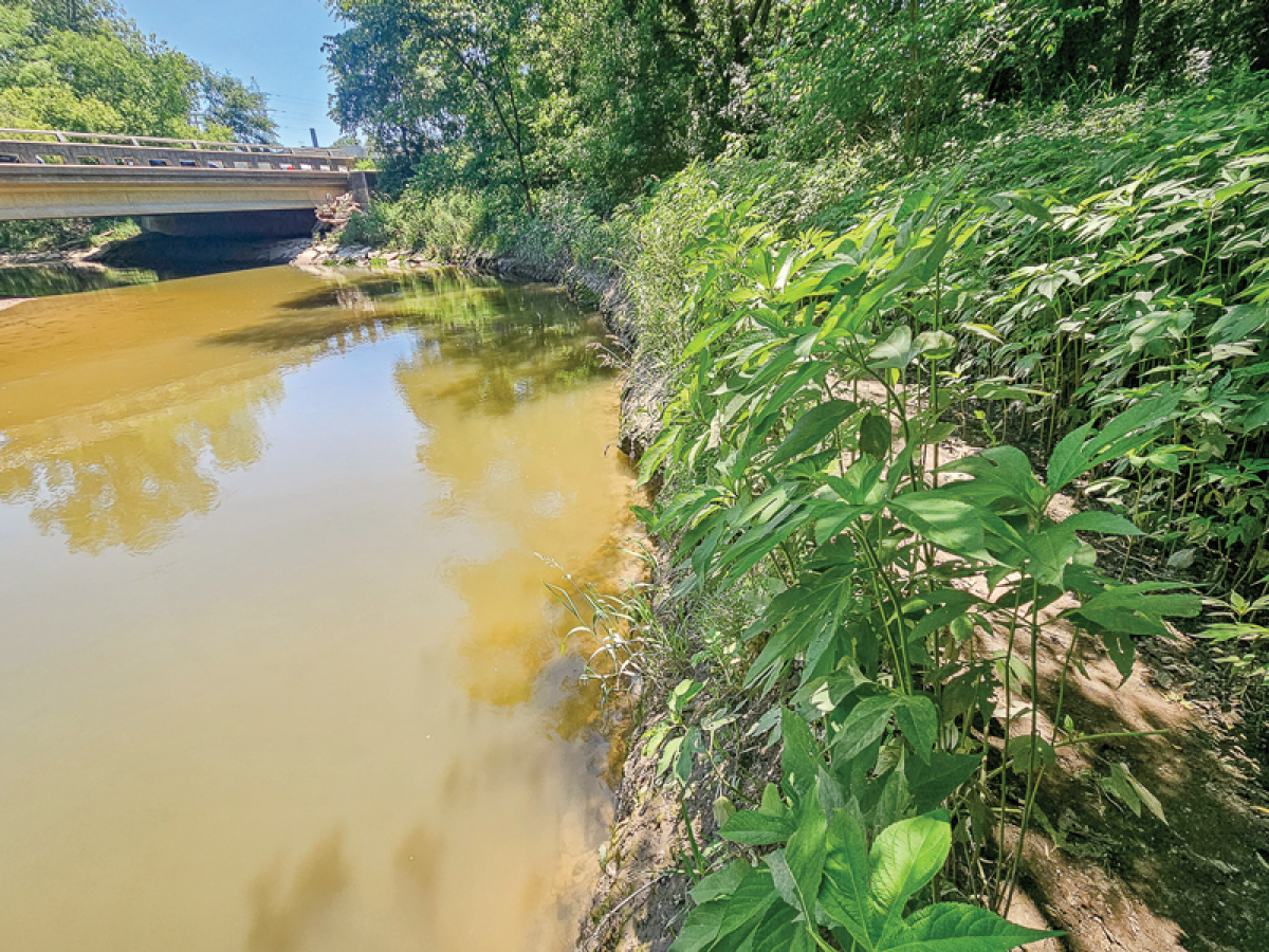  The Clinton River flows past its bank in Rotary Park. An expansion of Rotary Park’s amenities is on a list of proposed projects that would be funded if Sterling Heights voters approve a 0.95-mill referendum this November. 