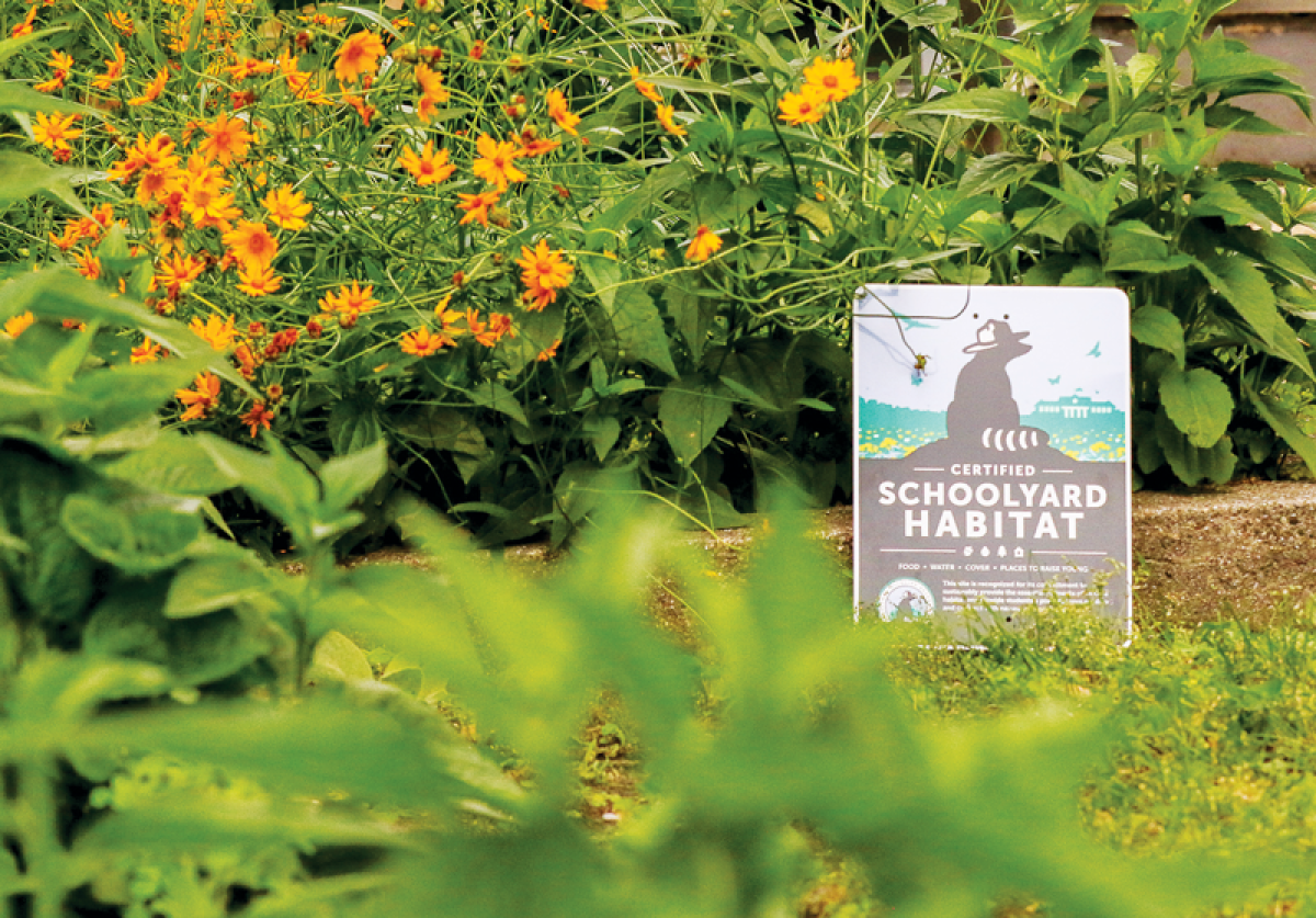  A sign recognizes the garden’s certification by the NWF. It will be set up in the fall when the students return and the garden is in full bloom. 