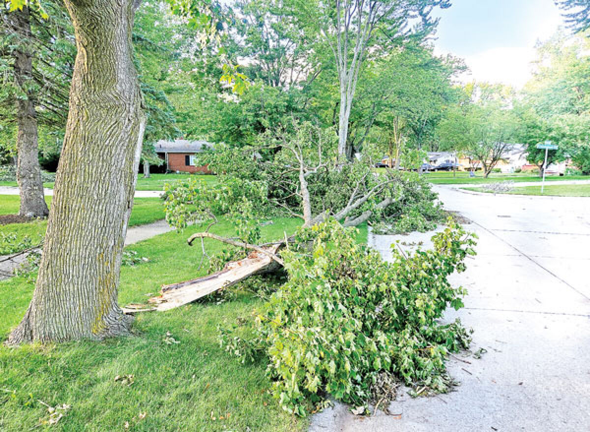 The areas hit hardest by recent storms are north and south of 12 Mile, particularly Cranbrook, between 12 Mile and 13 Mile roads, and Southfield and Evergreen roads. The curbs of Cranbrook Village were filled with piles of fallen tree branches. 