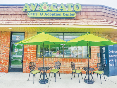   The Avocato Catfé and Adoption Center in Farmington Hills is scheduled to open to the public July 23. Features  of the facility include a lounge and  café area. 