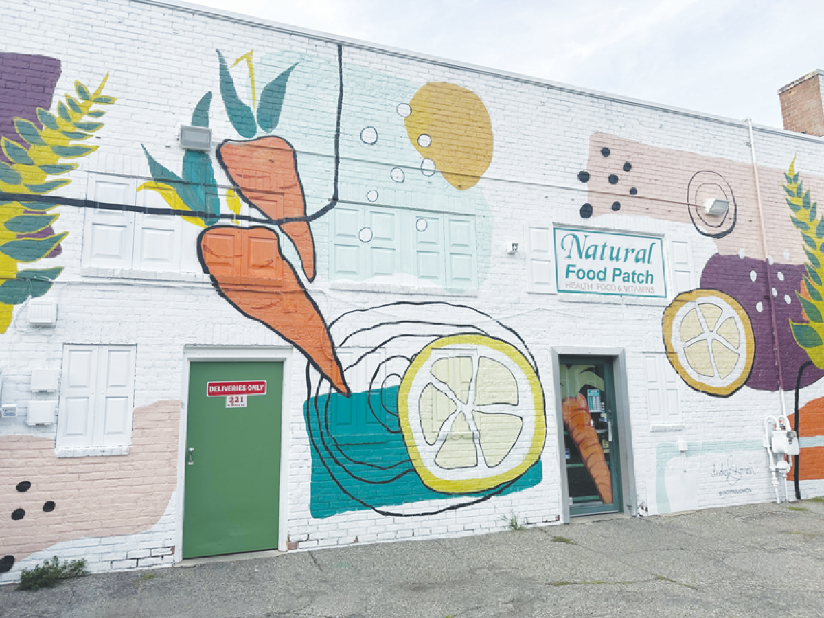  The Ferndale Downtown Development Authority is accepting applications for its Public Art Program. Last year, India Solomon was picked to create a piece that eventually found its home on the back of Natural Food Patch. 