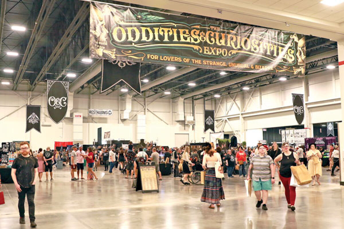  Over 16,000 people came out to the Oddities and Curiosities Expo at the Suburban Collection Showplace July 13-14. There they got to see everything and anything odd, strange or weird. 