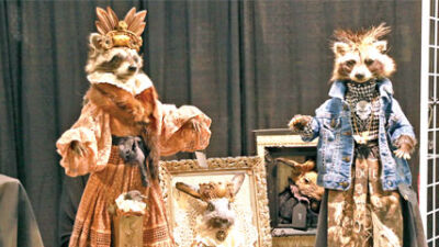  A display of taxidermied raccoons and rabbits is on display during the 2024 Oddities and Curiosities Expo at the Suburban Collection Showplace July 13-14. 