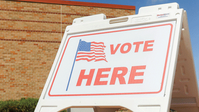  Novi voters to choose candidates in August primary 