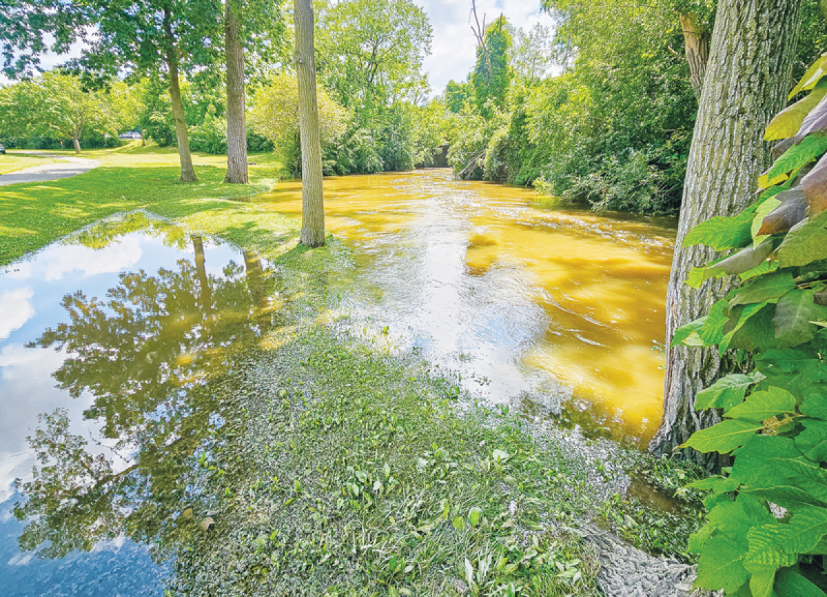  Pictured is the middle Rouge River in Hines Park. Sally Petrella, a monitoring manager for the Friends of the Rouge, explained that an exciting part of the Downs project is the daylighting of a quarter-mile of the River Rouge that was re-routed into a concrete culvert and buried in the 1960s.   