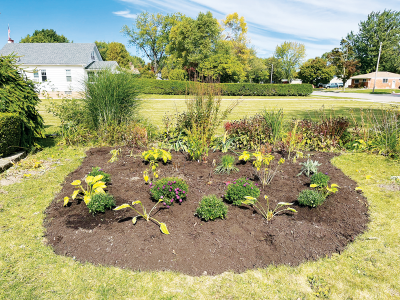  In the finished garden, soil covers the cardboard garden bed weed barrier.  