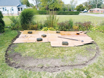  Cardboard can serve as a garden bed weed barrier. 