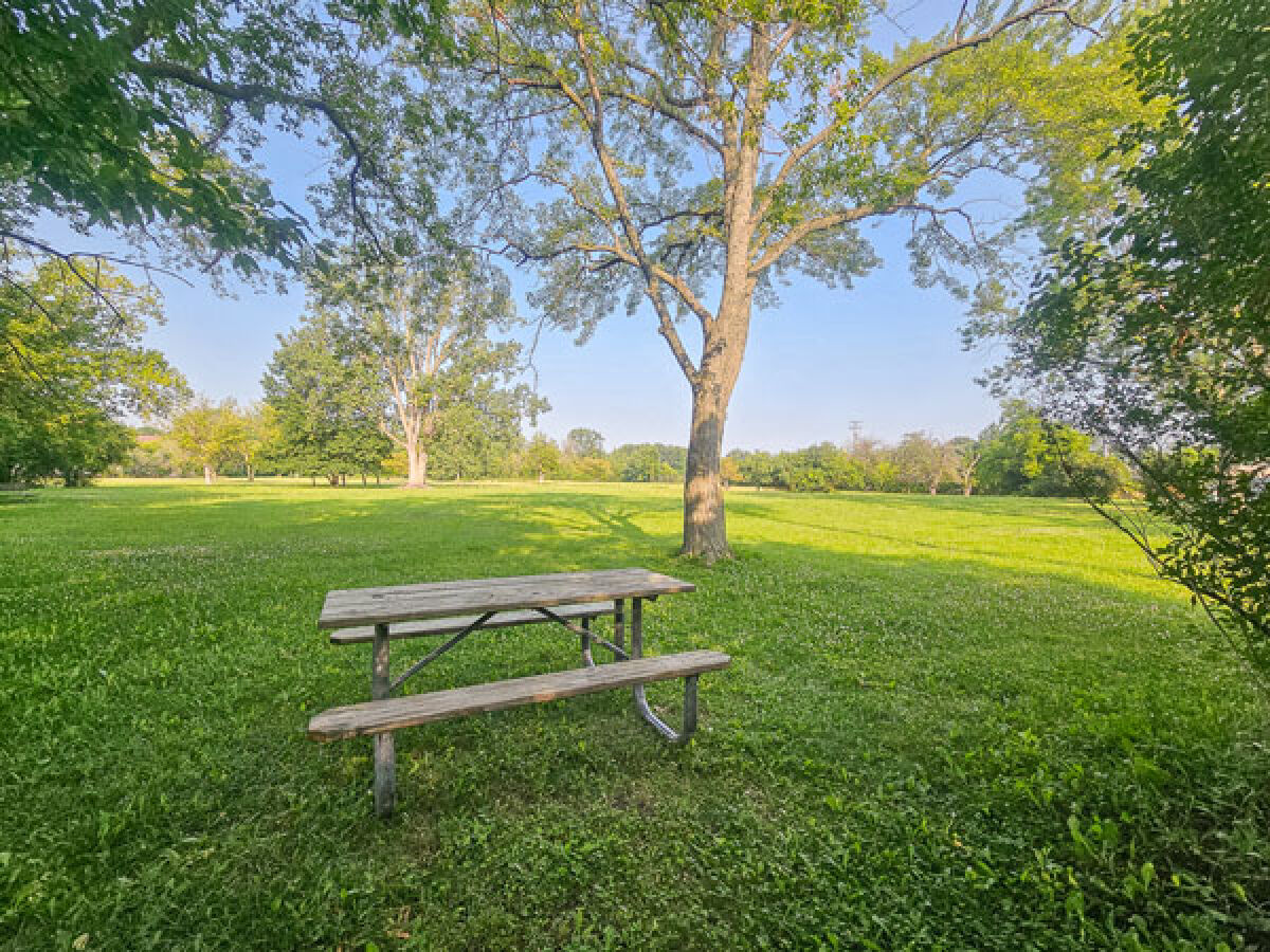  The first phase of the dog park will include 1,700 feet of pathway, benches, bollards to light the path for safety during the evenings, bike racks, the leveling of the berm, and some tree removals. 