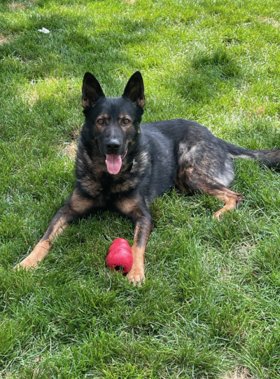  Officer Kantor relaxes after a busy day. 