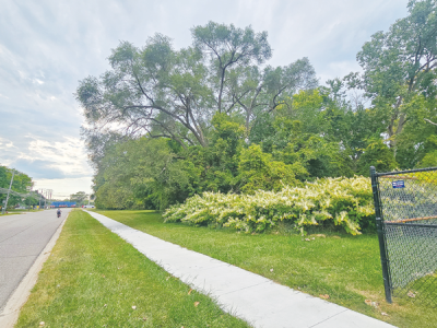  The Sterling Heights Planning Commission recently voted in favor of a special land use and site plan approval for the Sterling Landings III apartment complex to occupy currently vacant land along Irving Road in Sterling Heights.  