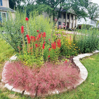  A pollinator garden at a Rochester Hills home features the following plants: purple love grass, cardinal flower, showy goldenrod, New England aster, butterfly milkweed, Joe Pye weed, purple coneflower, northern blazing star, black-eyed Susan and foxglove beardtongue.  