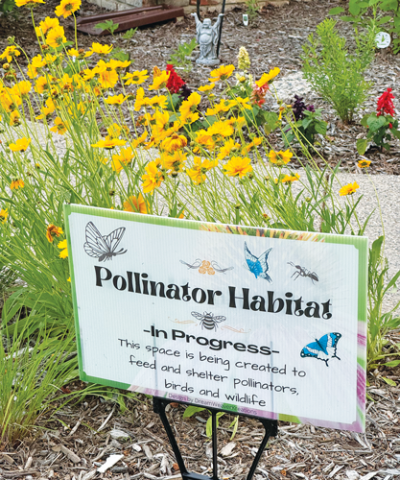  David Löwenstein, with the Michigan State  University Extension, will present “Making Your Garden a Haven for Beneficial Insects” to  the Shelby Gardeners Club Oct. 10. 