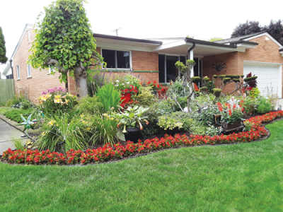  The garden of Greg May and Shiela Jenkins-May has an array of flowers including begonias, geraniums, calibrachoa, salvia, hibiscus, hyacinth, daffodils, tulips, Brugmansia, and a weeping mulberry tree that attracts bees, butterflies and hummingbirds. 