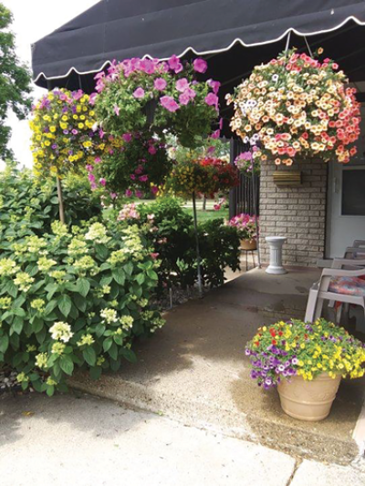  The garden of Warren resident Carol Finley shows off a plethora of potted flowers and flowers planted in the ground.  