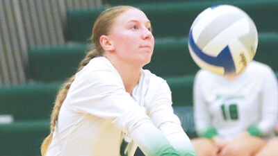  Novi volleyball’s ‘thick as thieves’ mentality has Wildcats primed for state tournament run 