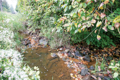  Water runoff is one of the concerns that residents have expressed about a potential development site in Farmington Hills. 