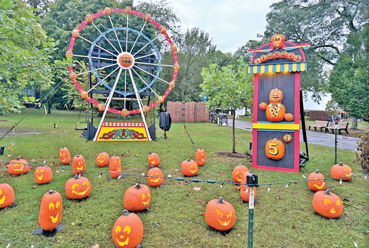  The Detroit Zoo 2024 Fall Fest features a new attraction called the Jack-O’-Lantern Journey. The event will be open from 5 to 10 p.m. on Oct. 25, 26 and 27. 