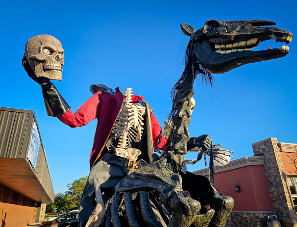  Get ready for some family-friendly fun at the Downtown Skelebration. Skeletons are dressed to the nines for the celebration and are placed outside businesses in the downtown. 