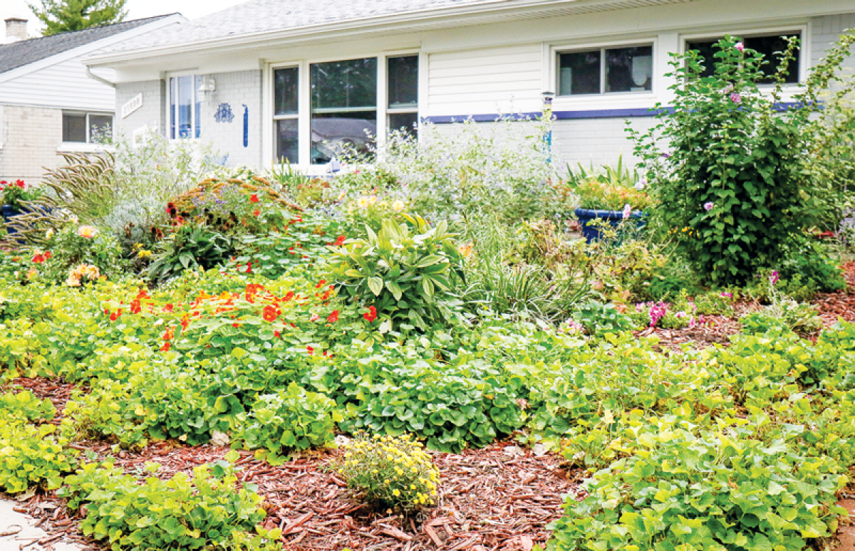  Busch’s garden is filled to the brim with flowers, pollinators and many other plants. 