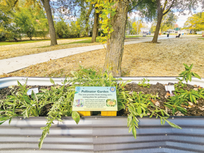  Green infrastructure was used throughout the space at Optimist Park in Roseville. 