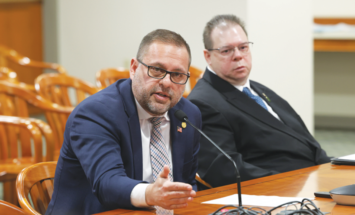  Rep. Mike McFall, D-Hazel Park, left, and Madison Heights City Councilman Sean Fleming spoke in the Michigan House of Representatives on behalf of a new bill extending the disabled veterans registration plate to partially-disabled veterans. The bill was signed into law by the governor late last month.  