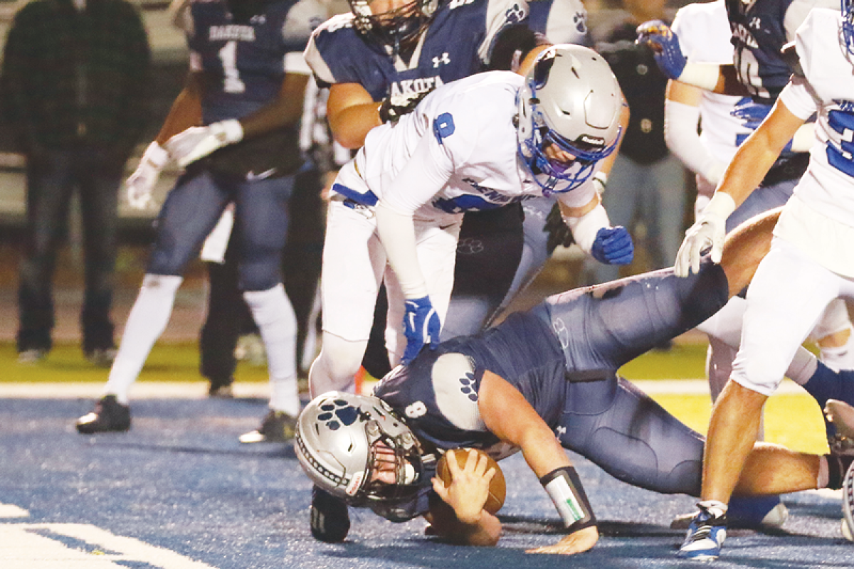  Macomb Dakota senior Brady Hamby dives into the endzone for one of his four touchdowns as Dakota defeated Utica Eisenhower 41-14 Nov. 8 at Dakota High School.  