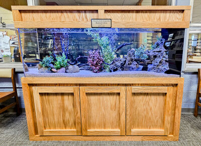  Sheetz, former Library Director Joyce Christensen and the Friends of the Eastpointe Memorial Library made donations to pay for the new aquarium. 