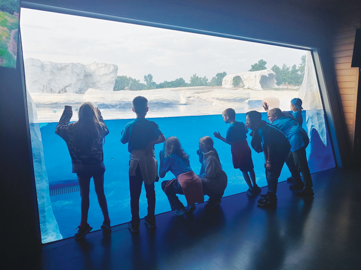  During the winter months, students have the opportunity to see animals  who thrive in the cold weather, like the polar bear.  