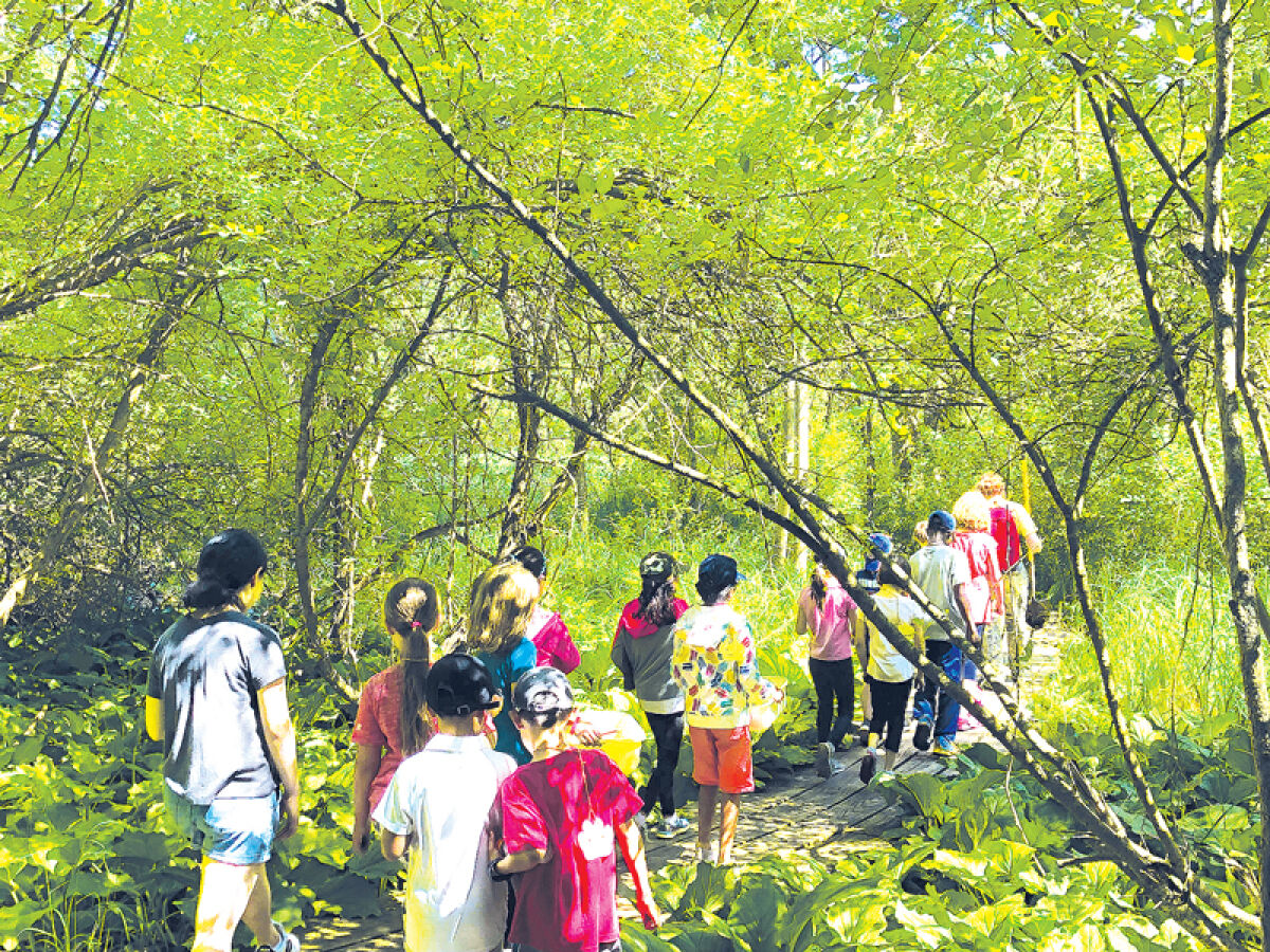  A guided educational hike through the Stage Nature Center preserve. 