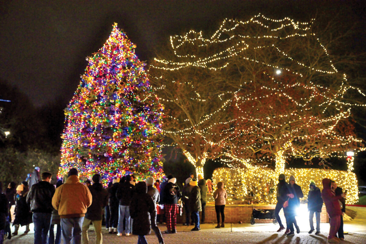  Community members view the Colorado spruce tree that has been decorated for Troy’s annual Christmas Tree Lighting event at City Hall. 