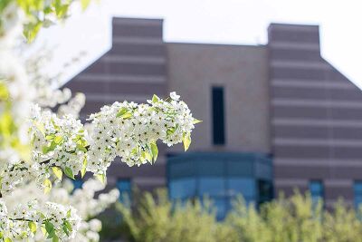  Rochester Christian University is addressing the rising costs of higher education by introducing a need-based, tuition-free scholarship available to students starting in fall 2025. 